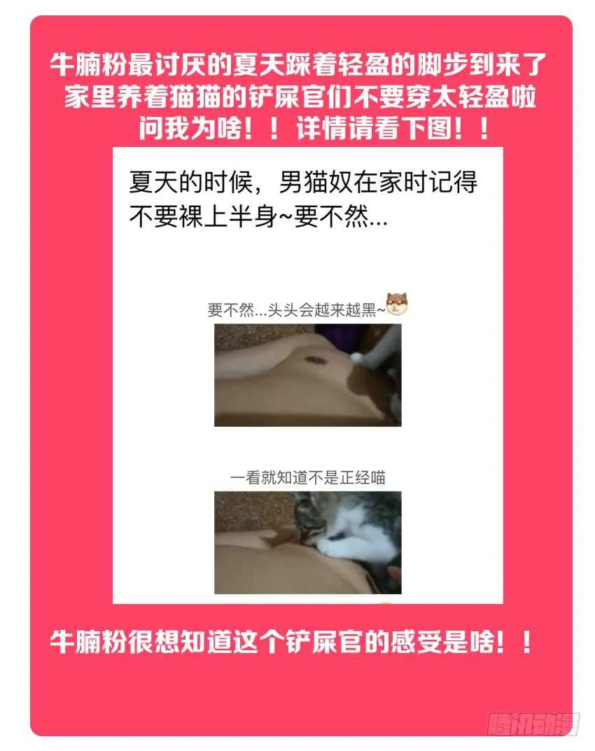 第154集 橘叶VS路人 第13页