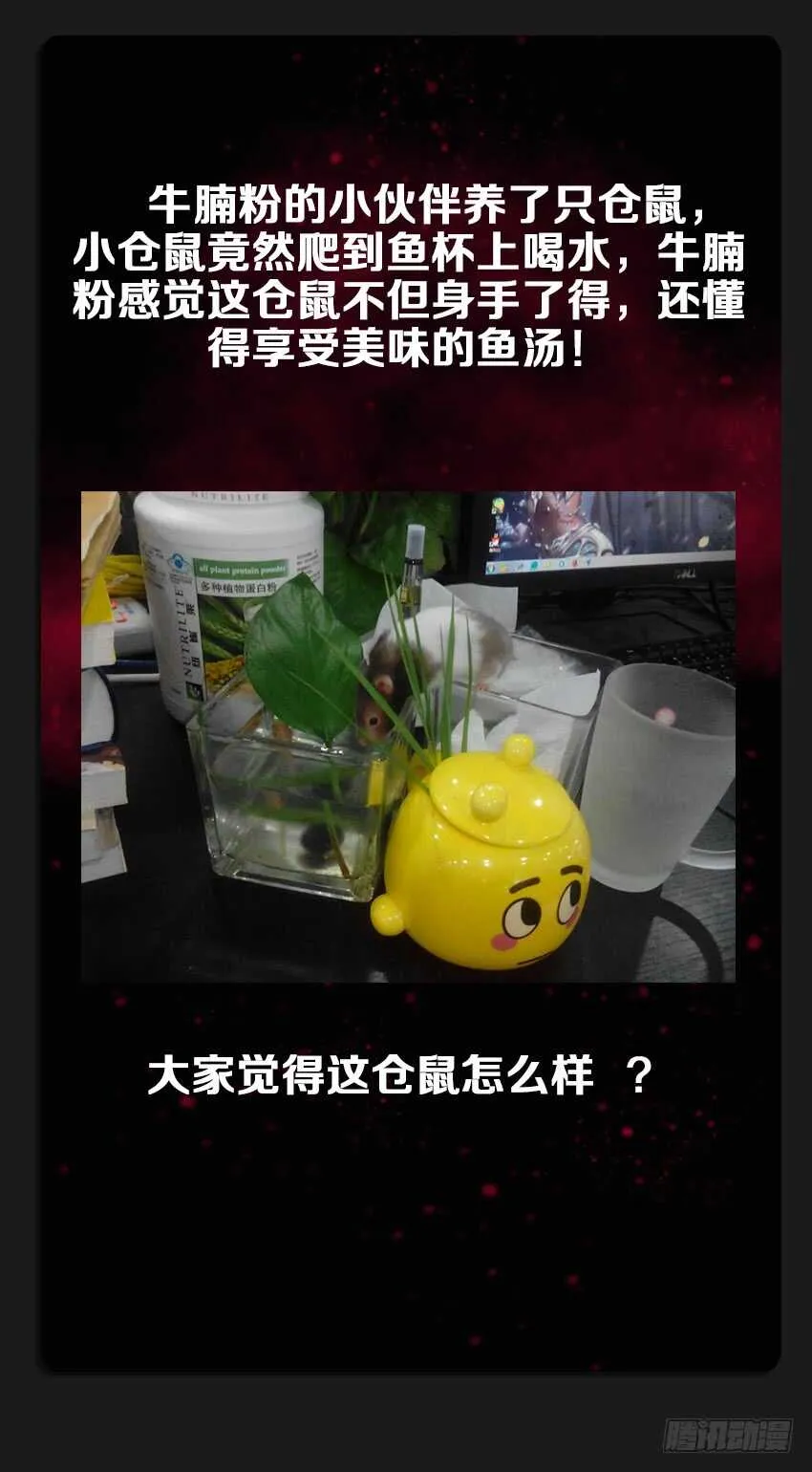 第220集 战书 第13页
