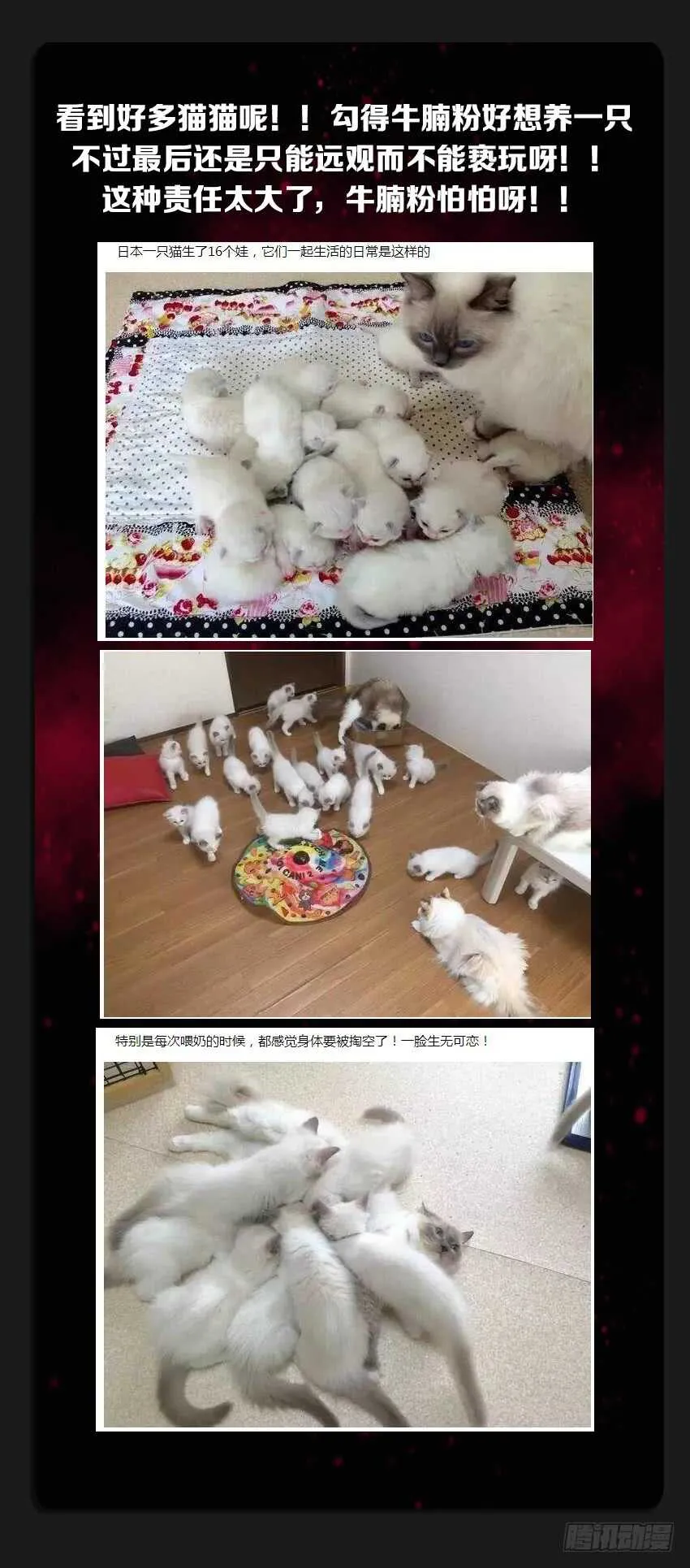 第228集 重拾军心 第13页