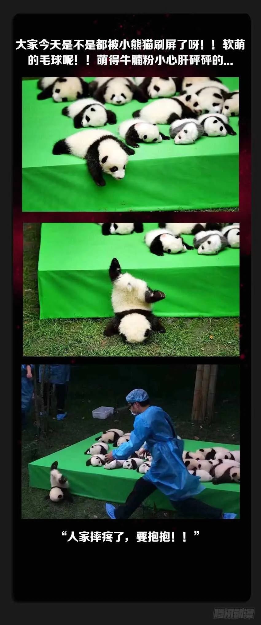 第230集 老将出场 第13页