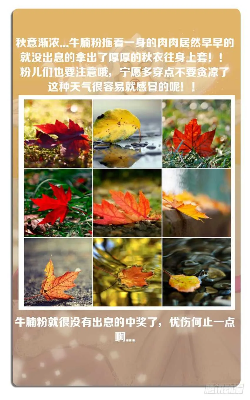第235集 魔王的复仇 第13页