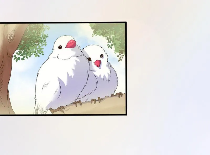第22话 妈咪喜欢哪一个？ 第43页