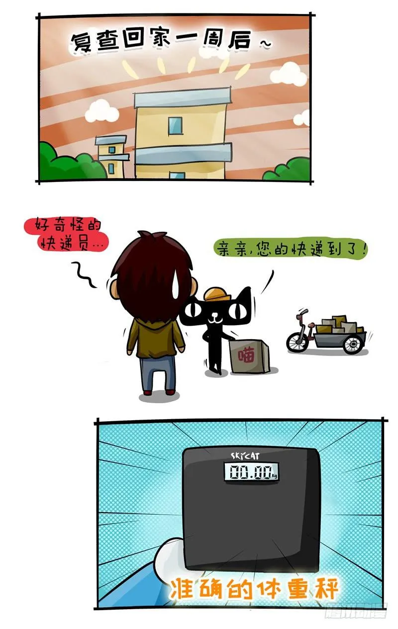 第41话 不能再瘦啦 第3页