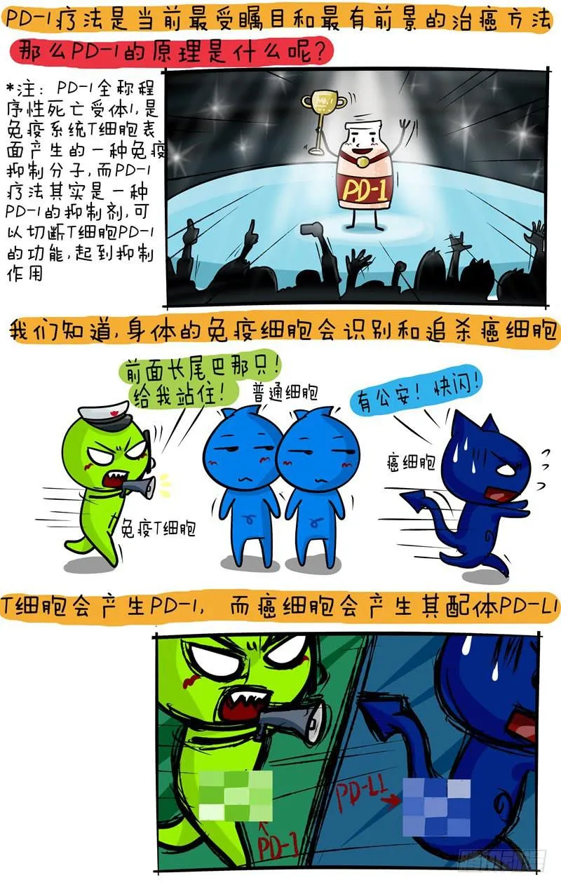 第57话 PD1科普 第2页