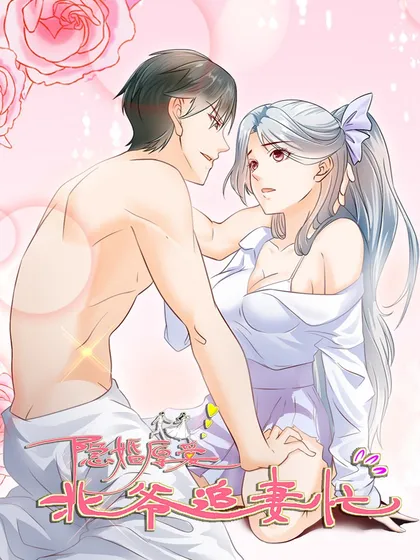 隐婚厚爱：北爷追妻忙