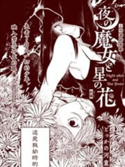 夜之魔女星之花