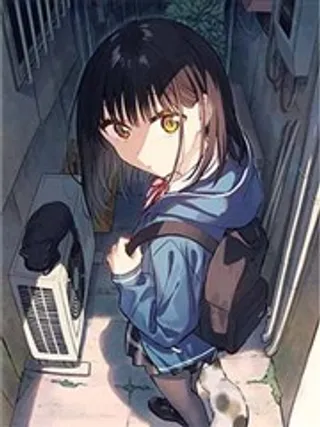 与猫相邻尚不识恋