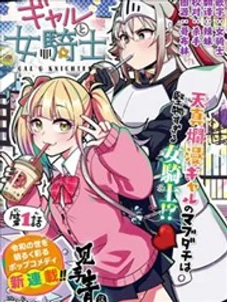 辣妹与女骑士