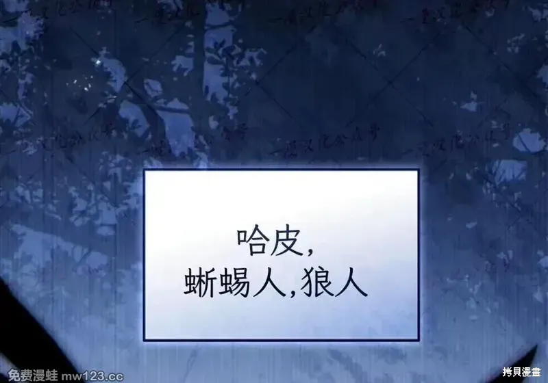 第88话 第217页