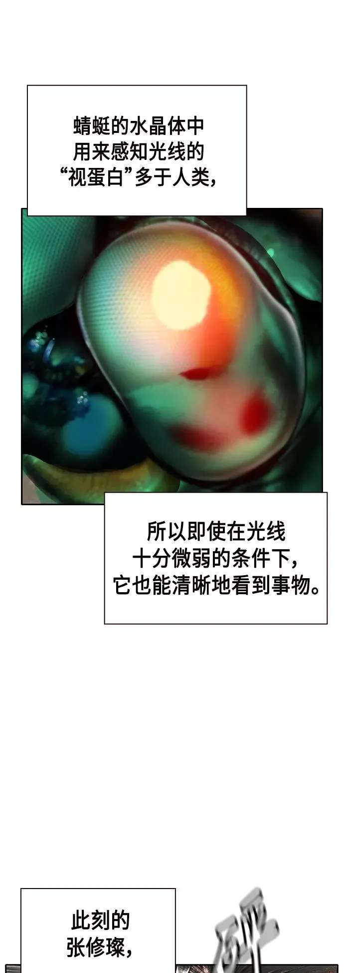 第34话 第66页