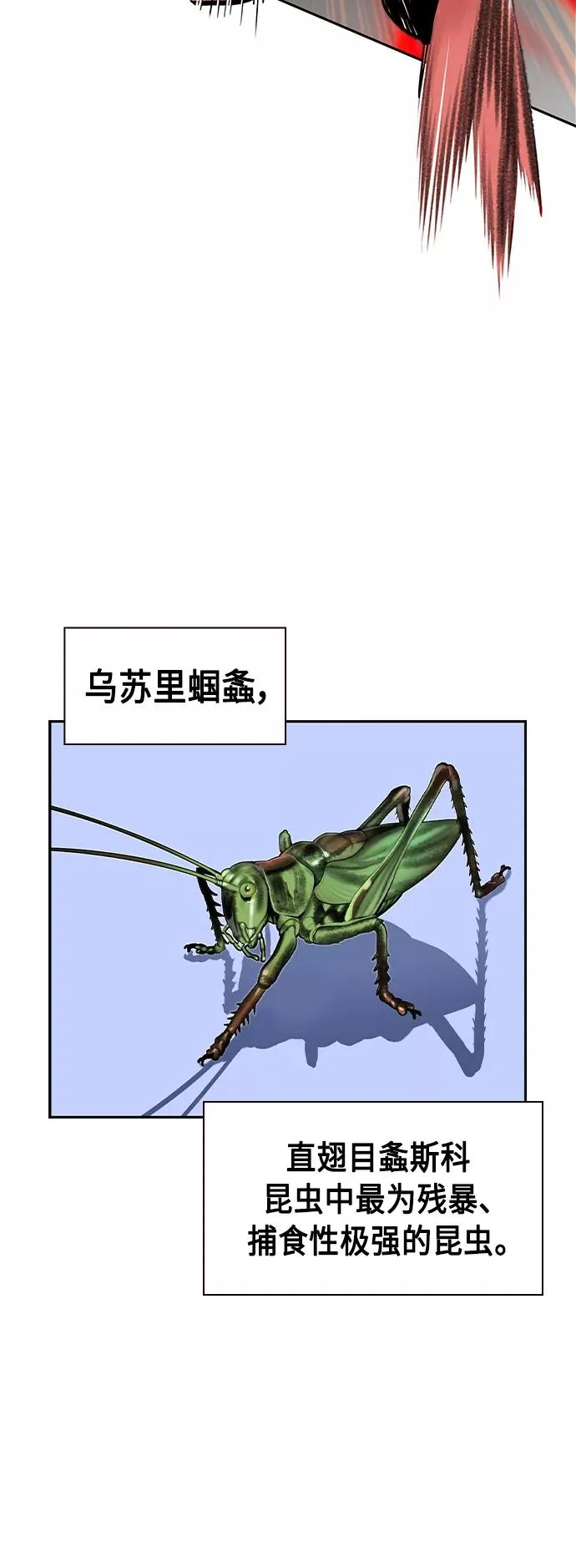 第39话 第17页