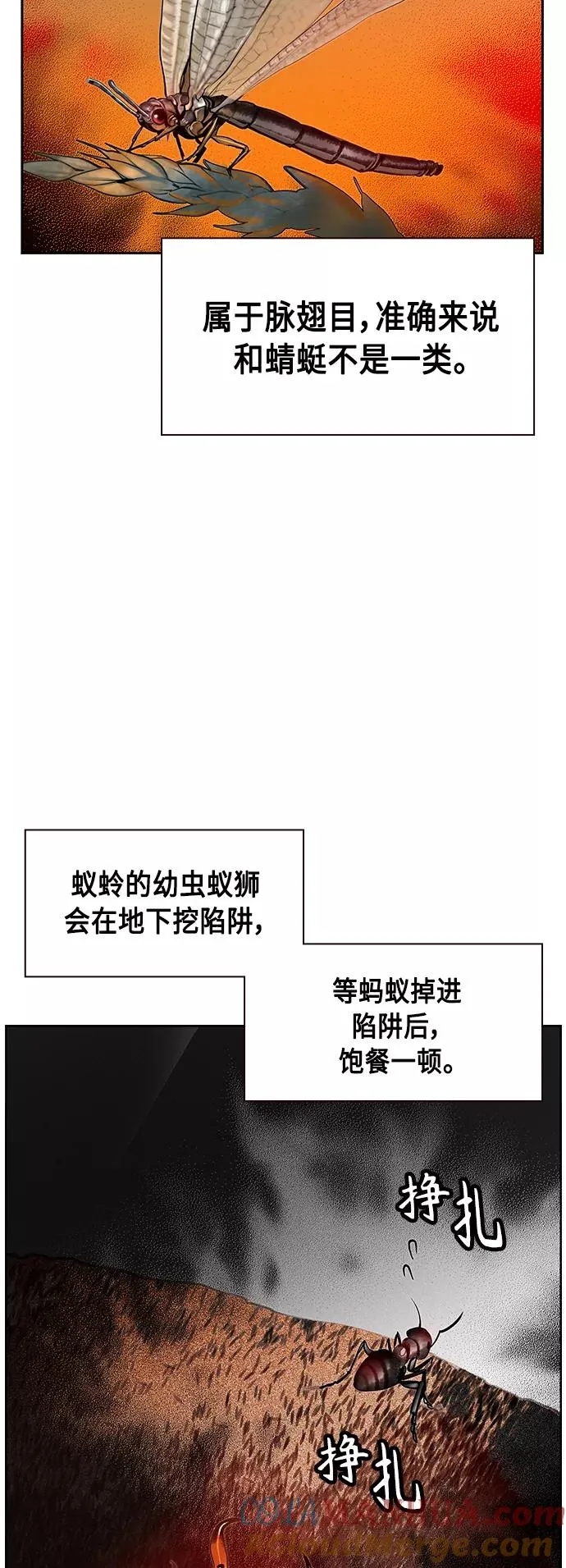 第41话 第49页