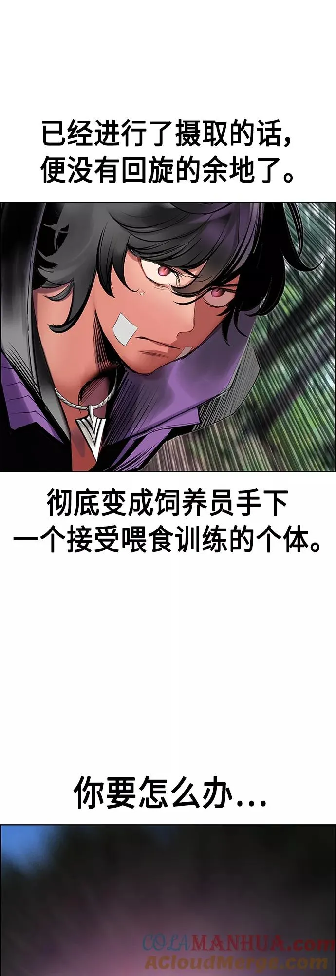 第80话 第43页
