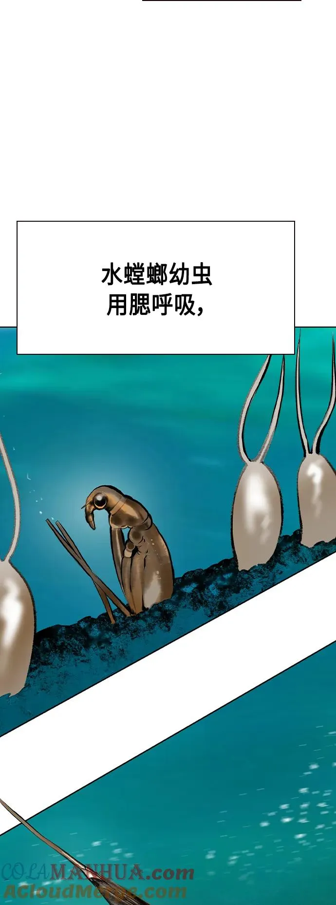 第2季 第23话 第9页