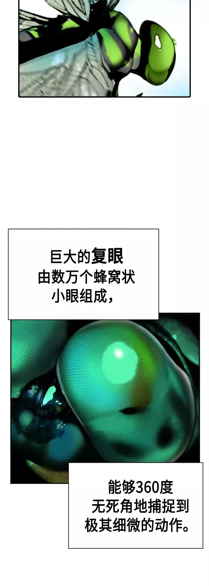 第4话 第78页