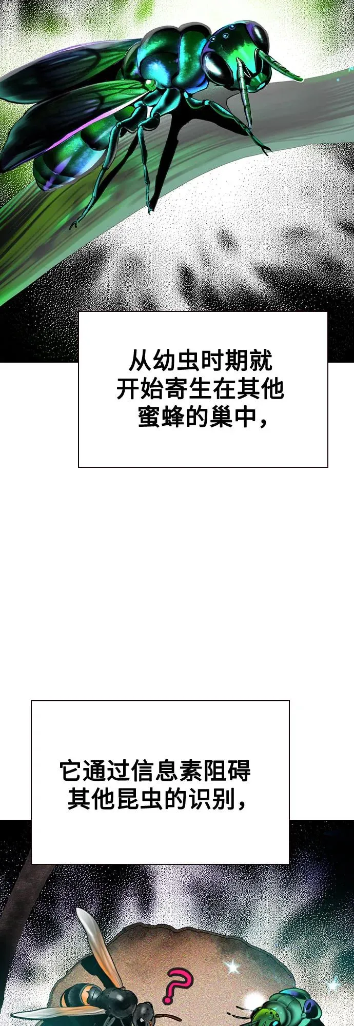 第2季 第40话 第48页