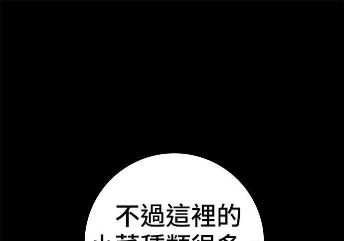 第267话 水果沙拉 第169页