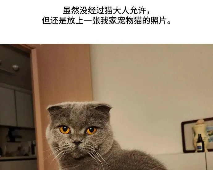 【免费】后记 第47页