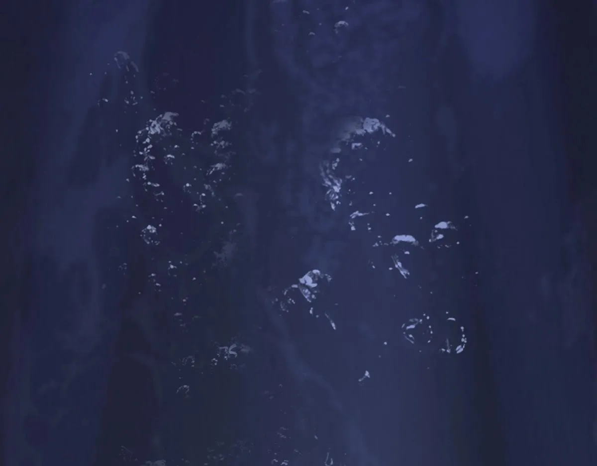 第1话 SSS级病毒君王！ 第49页