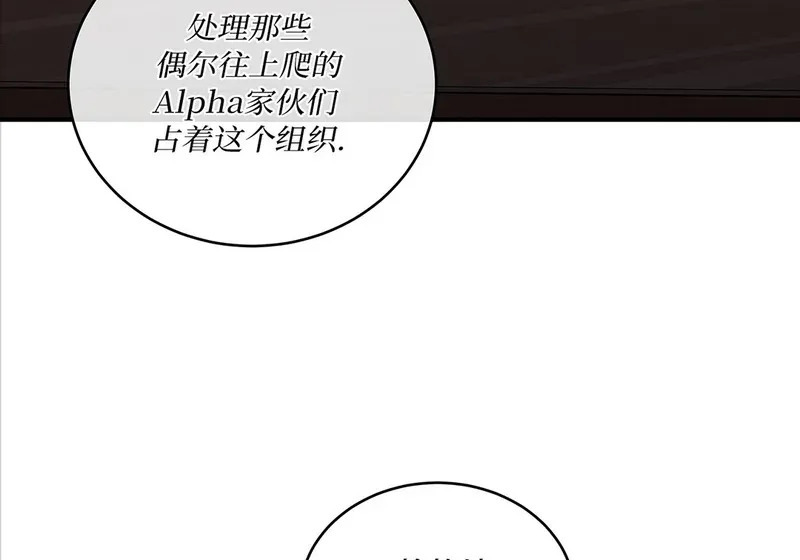 特别篇02 第116页