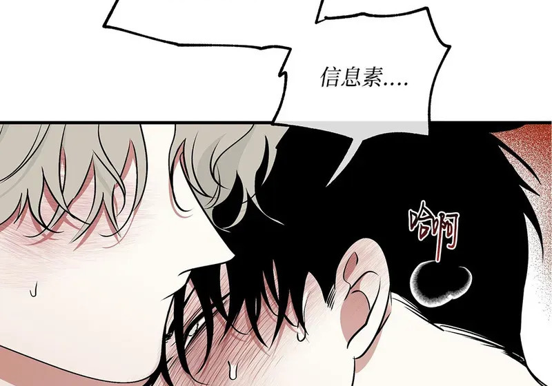 特别篇04 第11页