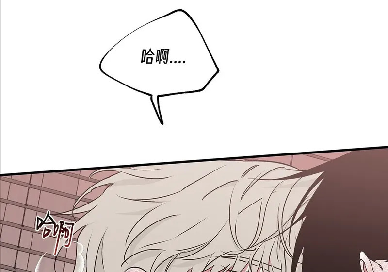 特别篇04 第38页