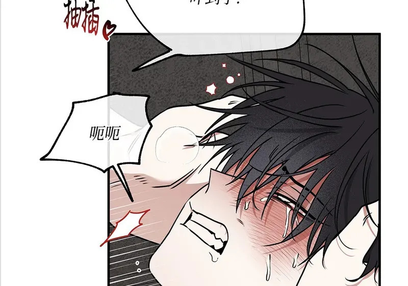 特别篇05 完结 第13页
