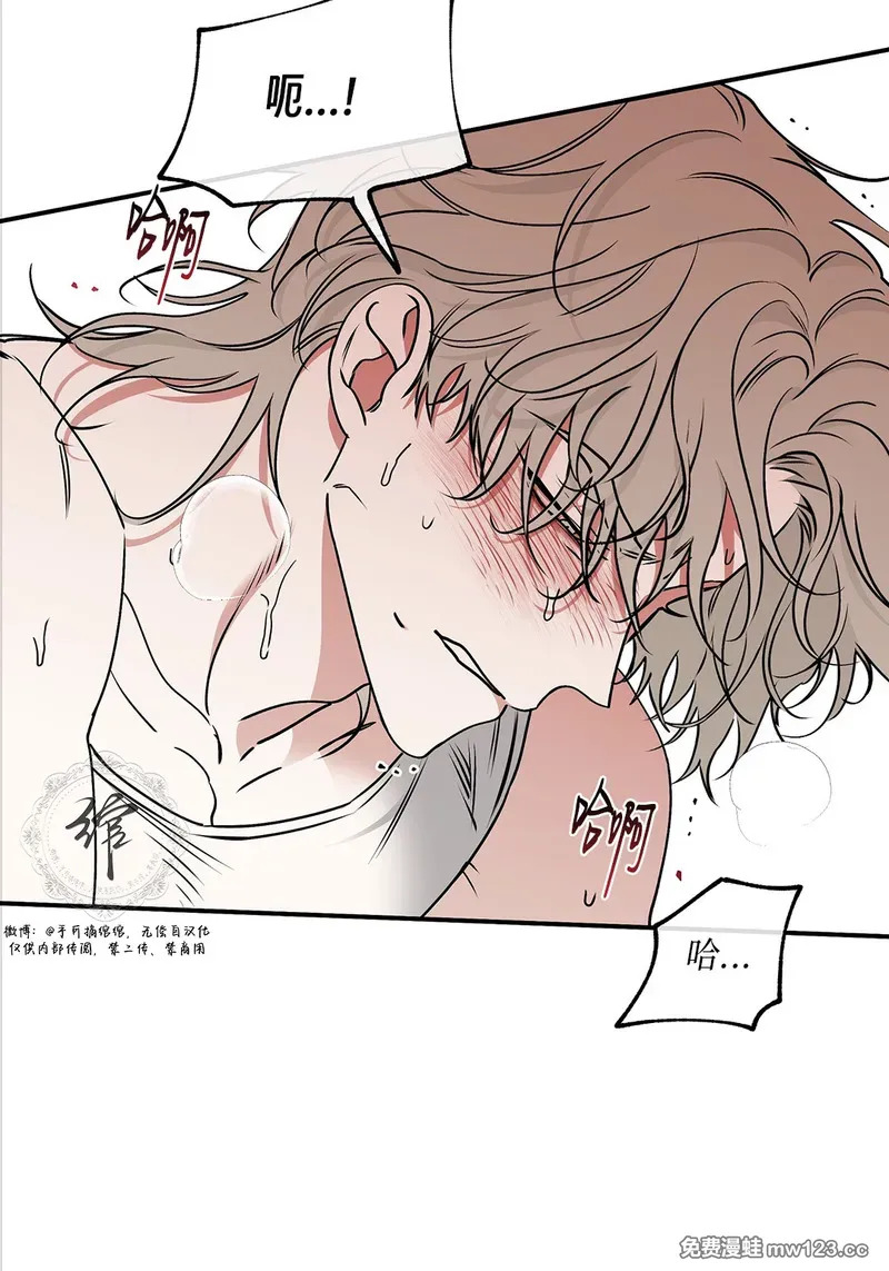 特别篇05 完结 第41页