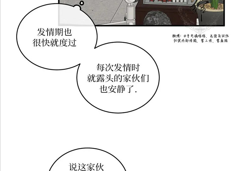 特别篇05 完结 第84页