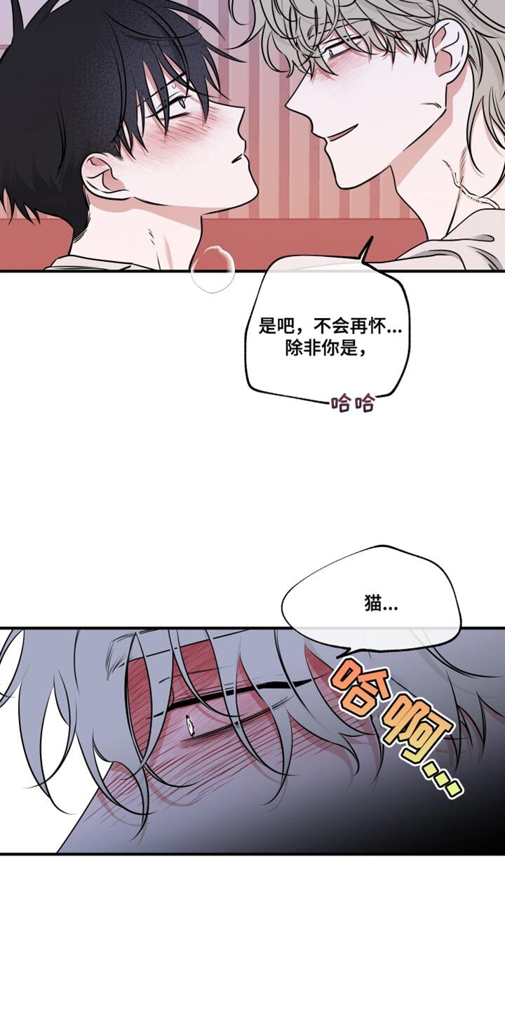 第248章：【番外】无法区分 第4页