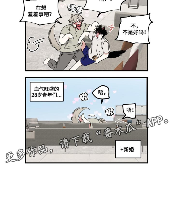 第248章：【番外】无法区分 第16页
