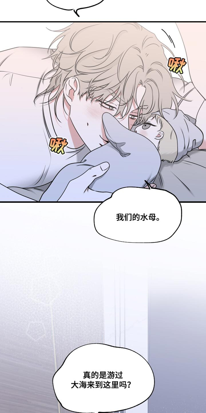 第251章：【番外】我们的水母 第13页