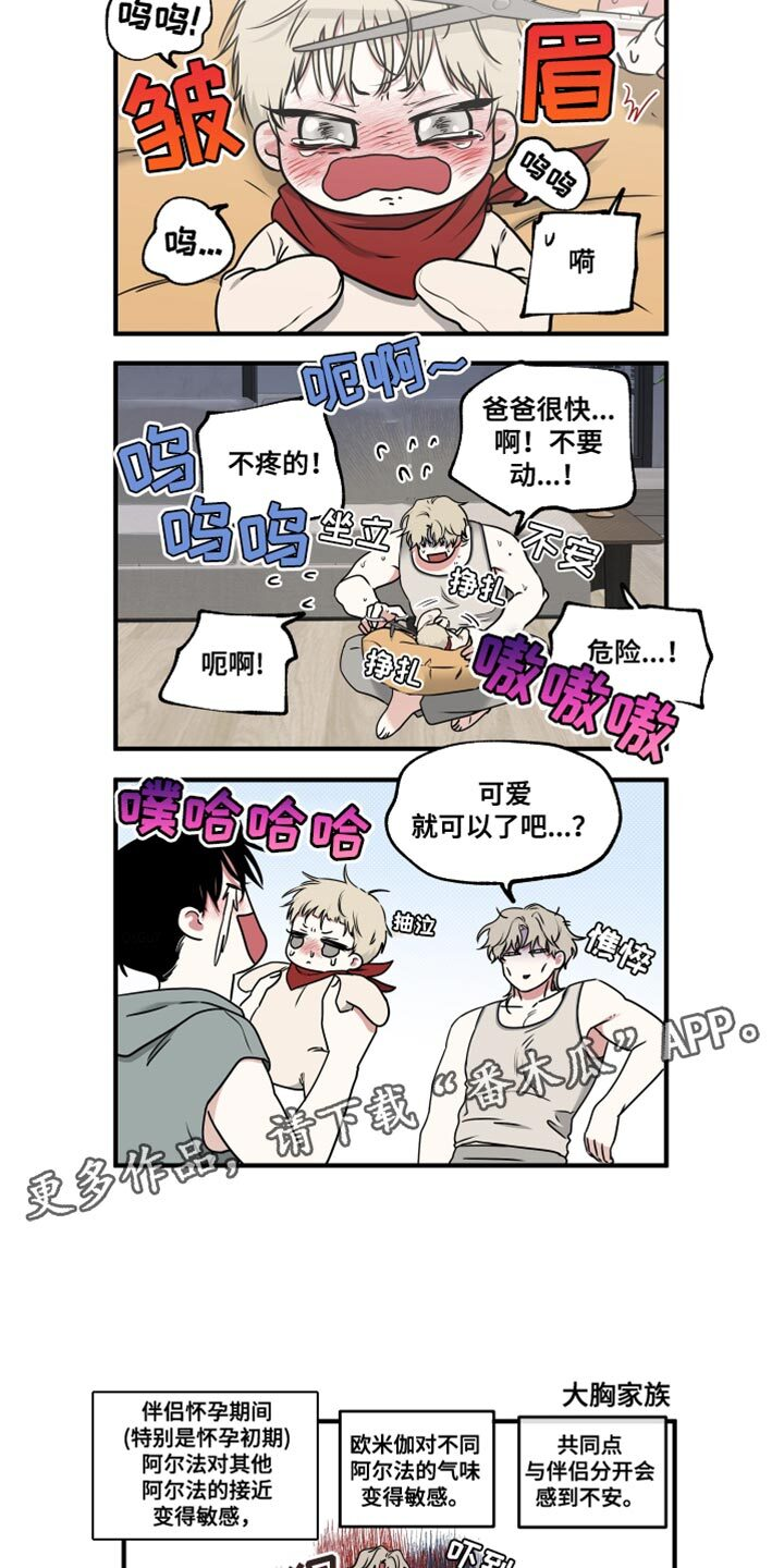 第251章：【番外】我们的水母 第16页