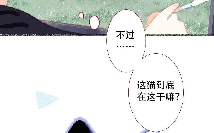第95话 媒婆猫 第38页