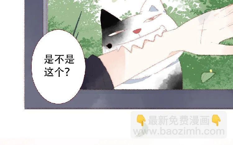 第95话 媒婆猫 第71页