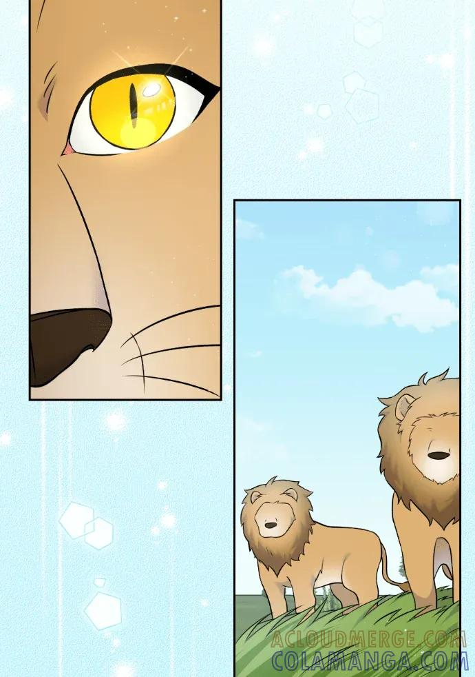 第62话 第77页