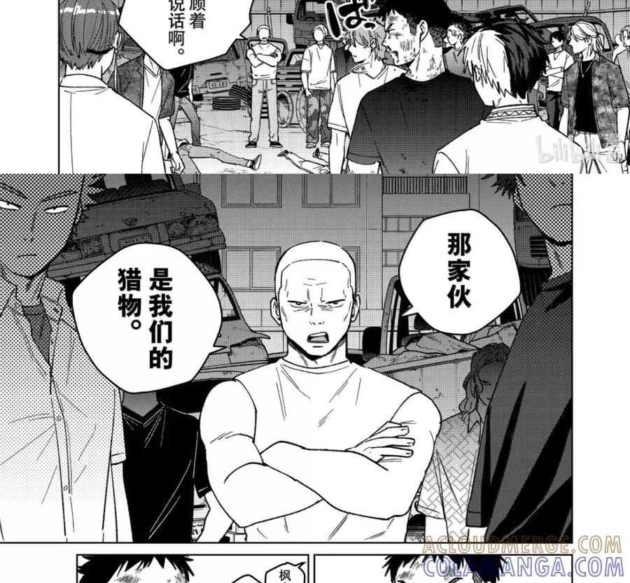 198 报信 第13页
