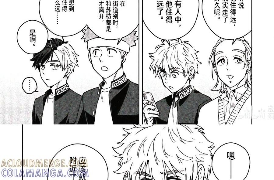 209 失踪 第17页