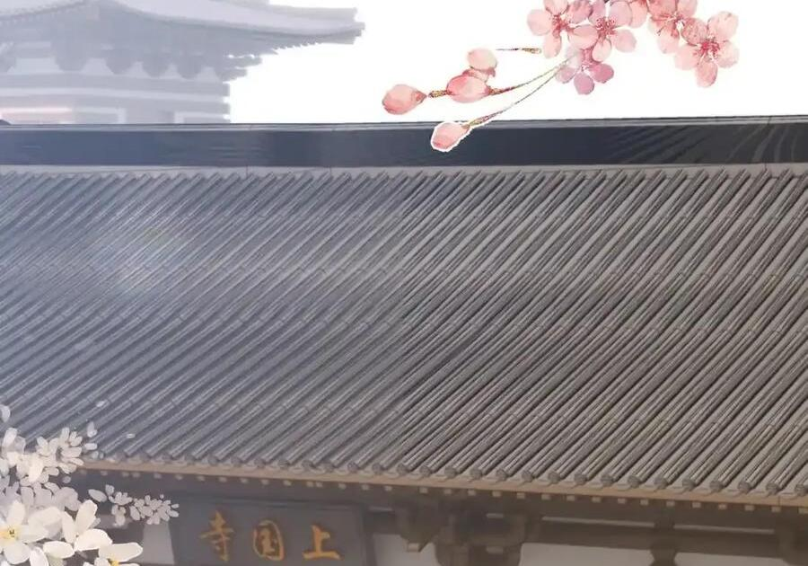 番外01 上国寺的过往（上） 第30页