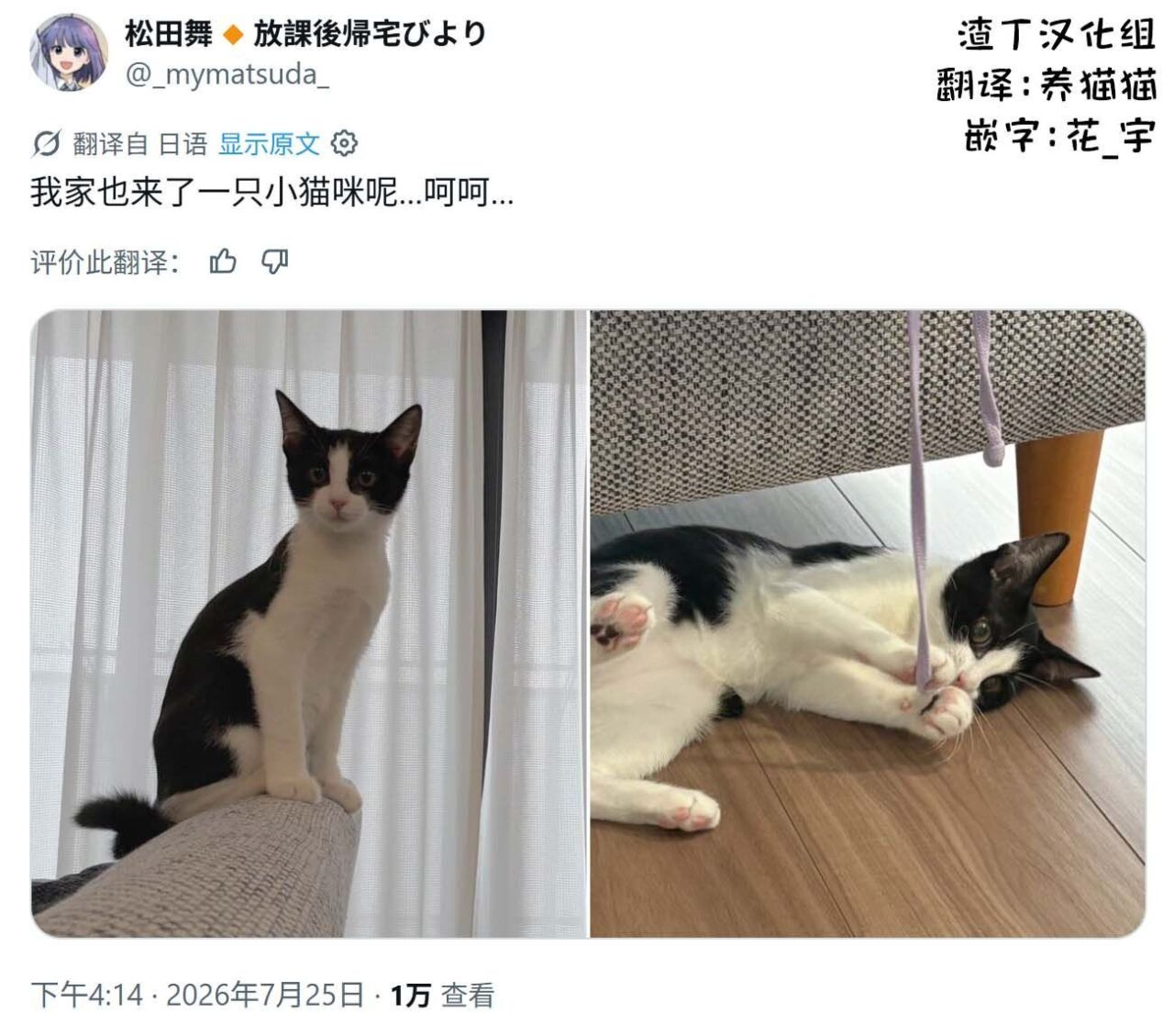 60 第19页