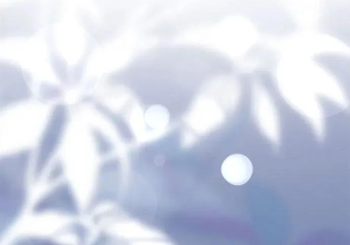 第111话 第63页