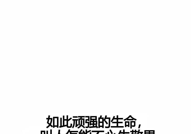 第102话 第45页