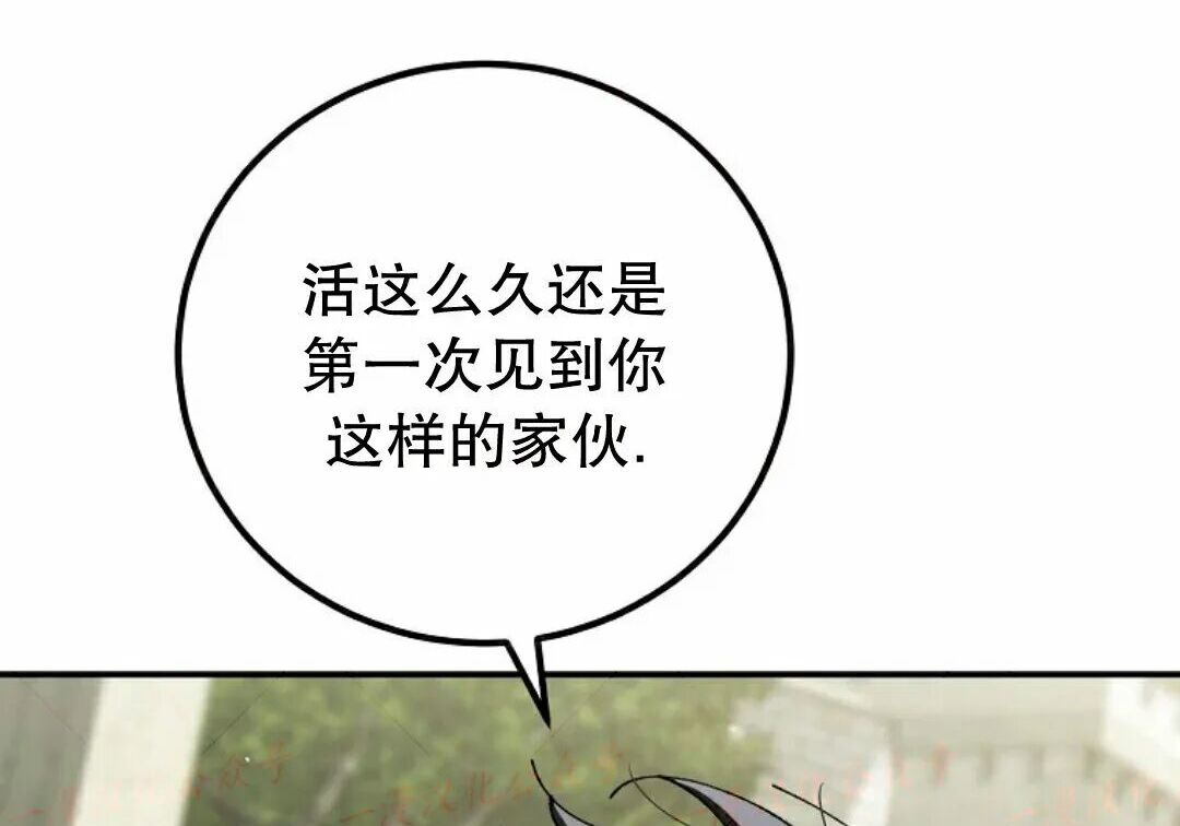 第96集 第293页