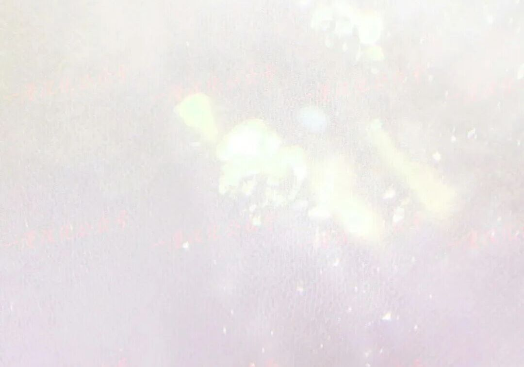 第97集 第22页