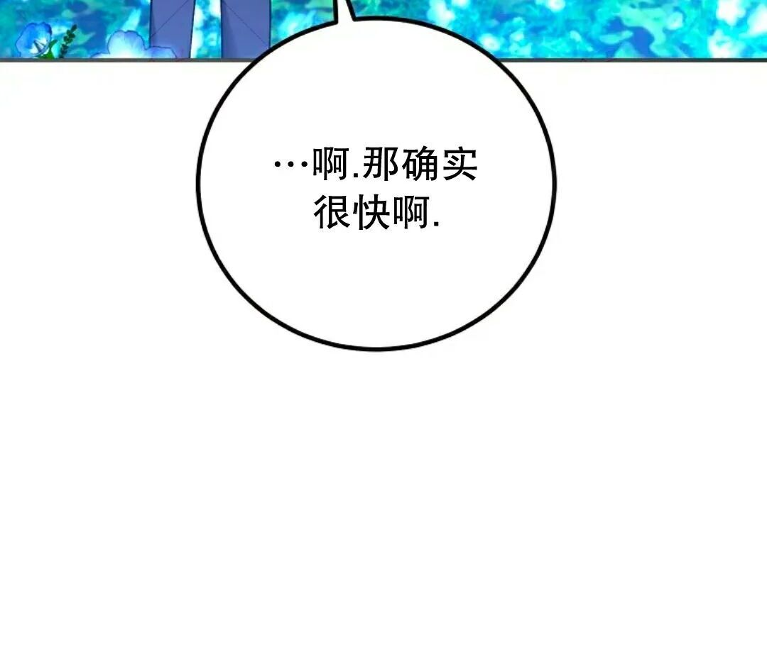 第99集 第242页