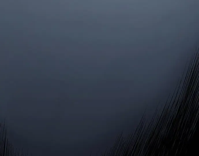 第104话 第313页