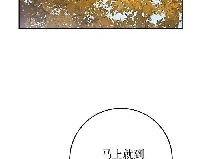 第113话 第115页