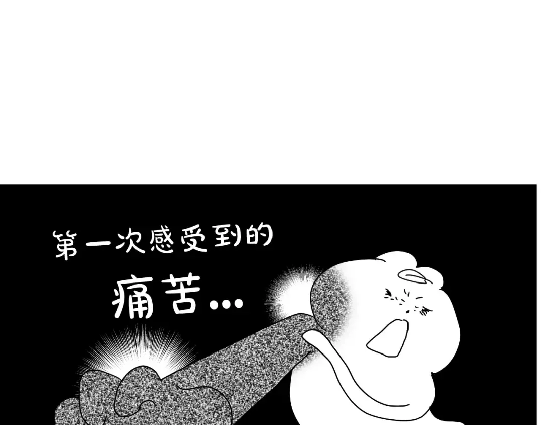 后记 第53页