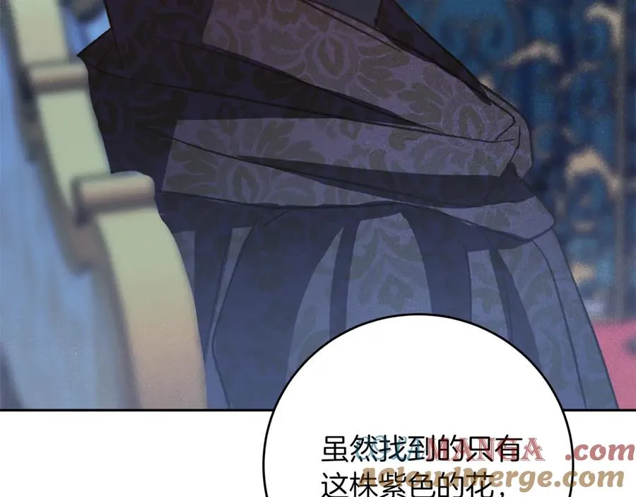 第25话 看不见的皇子 第153页