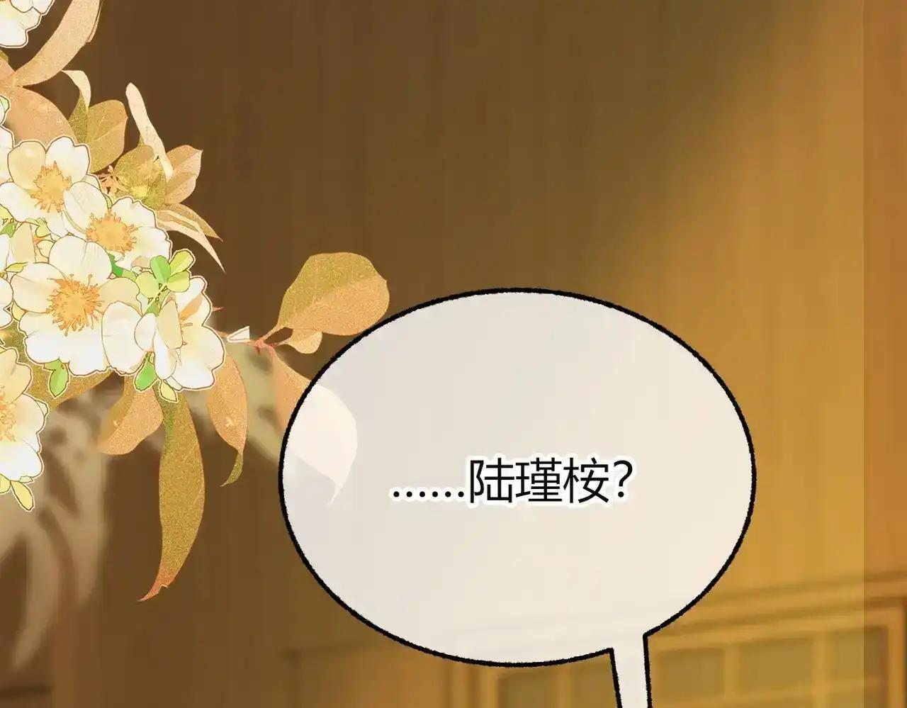第41话 我就是陆瑾桉？ 第95页